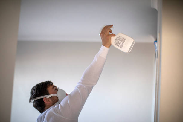 Home Mold Removal in Nebraska City, NE